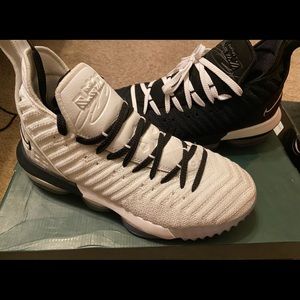 Lebron 16 “Equality”